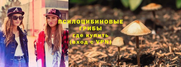 экстази Алексин